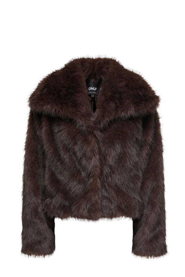 DAWN-15348977CHOCOLATE TORTE