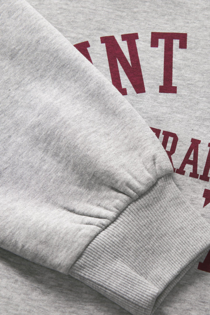 Felpa grigia girocollo