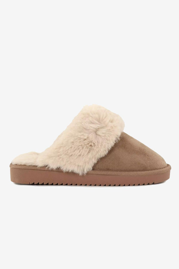 NOOS-CATH-15356314COGNAC